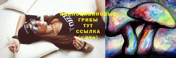 хмурый Бронницы