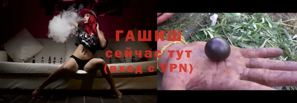 МДПВ Бородино