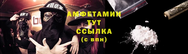 МДПВ Бородино