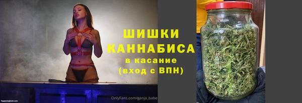хмурый Бронницы
