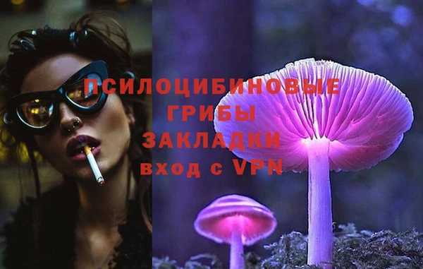 хмурый Бронницы