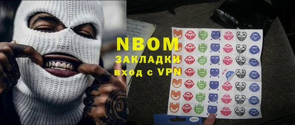 МДПВ Бородино