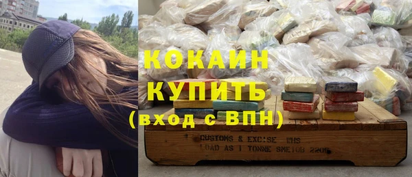 МДПВ Бородино