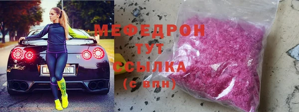 МДПВ Бородино