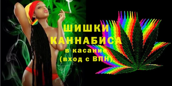 МДПВ Бородино