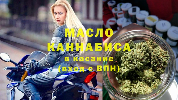 МДПВ Бородино
