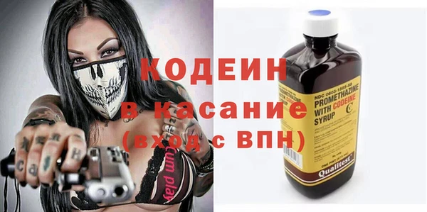 МДПВ Бородино