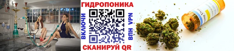 даркнет сайт Меленки Конопля White Widow